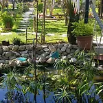 Akmonya * Eriklice (Tekirdag)