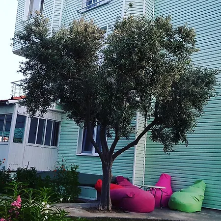 Akmonya Eriklice (Tekirdag)