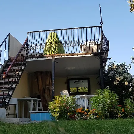 Akmonya * Eriklice (Tekirdag)