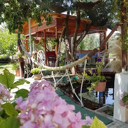 Akmonya Hotel