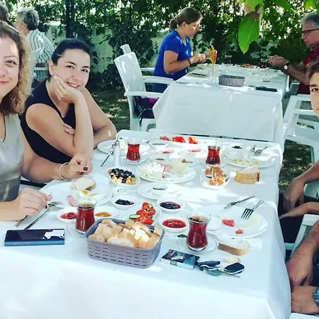 Akmonya Eriklice (Tekirdag)